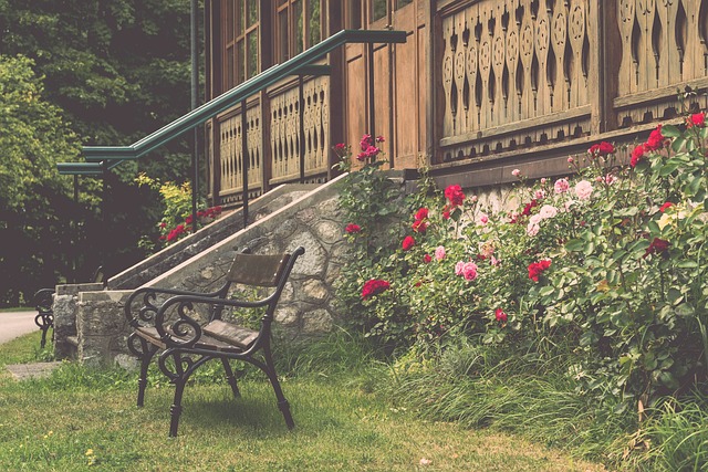 政策走向无 政策走向无