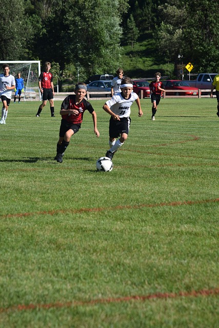 阿莱格里的 阿莱格里的