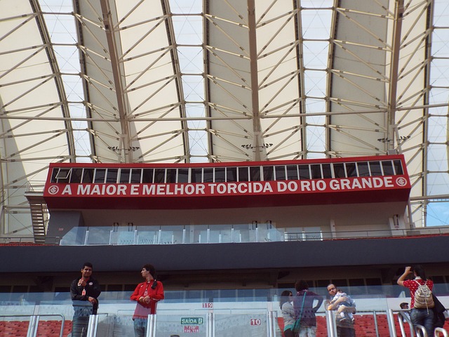 斯凯利因犯 斯凯利因犯