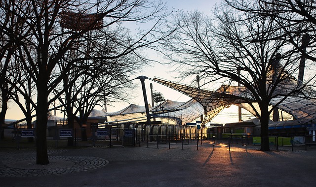 冠军的重要 冠军的重要